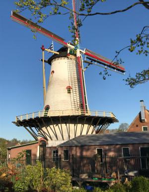 Symbool voor onze school